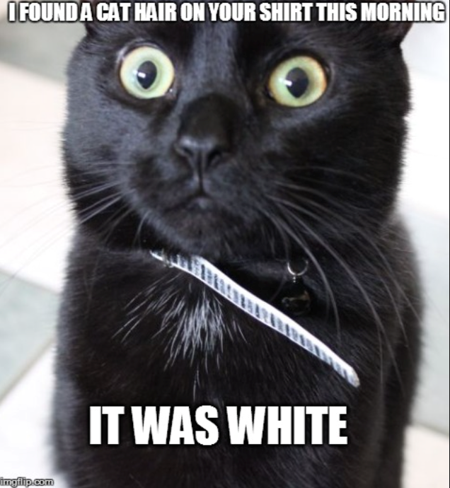 I FOUND A CAT HAIR ON YOUR SHIRT THIS MORNING O imgflip.com IT WAS WHITE