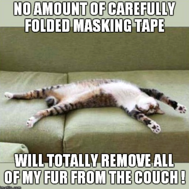 NO AMOUNT OF CAREFULLY FOLDED MASKING TAPE WILL TOTALLY REMOVE ALL OF MY FUR FROM THE COUCH! imgflip.com