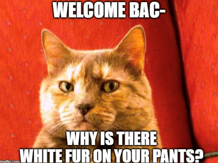 WELCOME BAC- imgflip.com WHY IS THERE WHITE FUR ON YOUR PANTS?