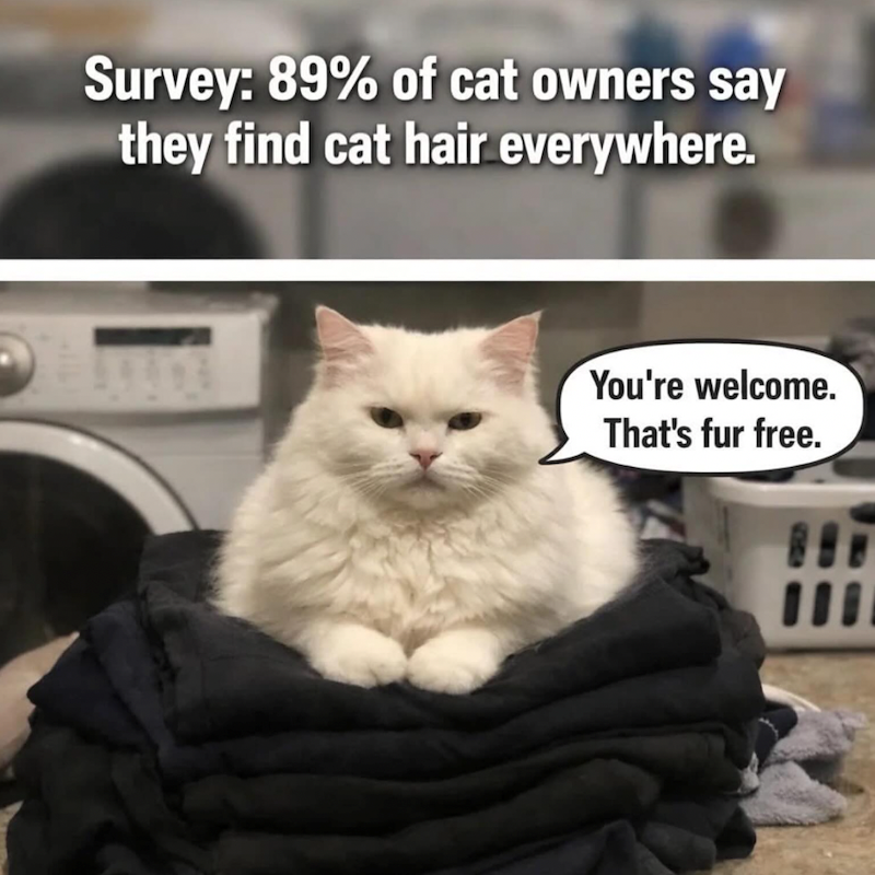 Survey: 89% of cat owners say they find cat hair everywhere. You're welcome. That's fur free.