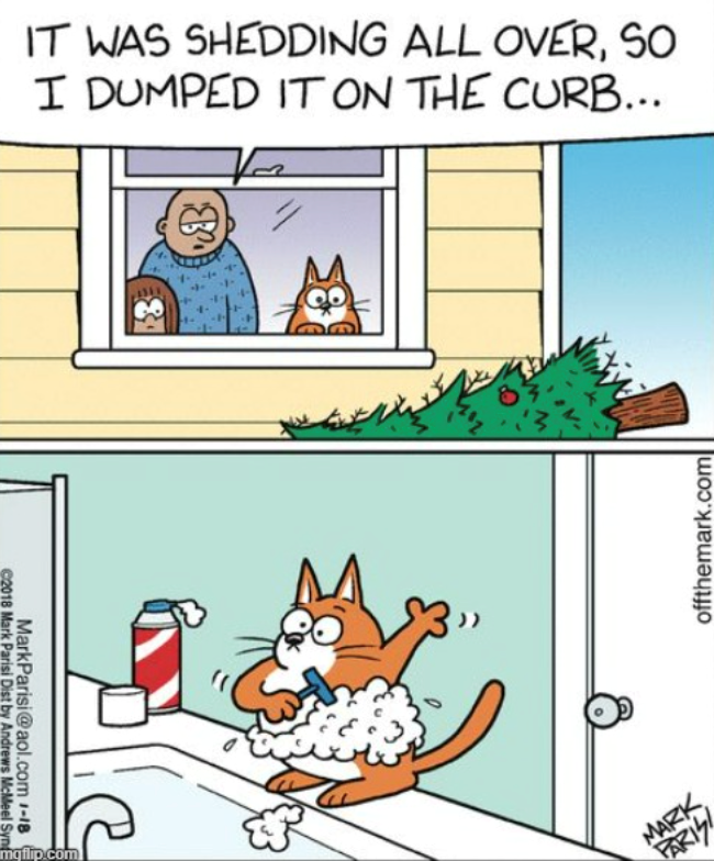 ©2018 Mark Parisi Dist by Andrews McMeel Syn MarkParisi@aol.com 1-18 mqflip.com IT WAS SHEDDING ALL OVER, SO I DUMPED IT ON THE CURB... •B MARK PARIS offthemark.com