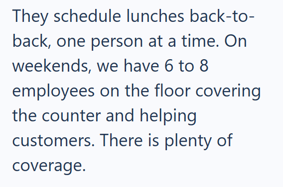 They schedule lunches back-to- back, one person at a time. On weekends, we have 6 to 8 employees on the floor covering the counter and helping customers. There is plenty of coverage.