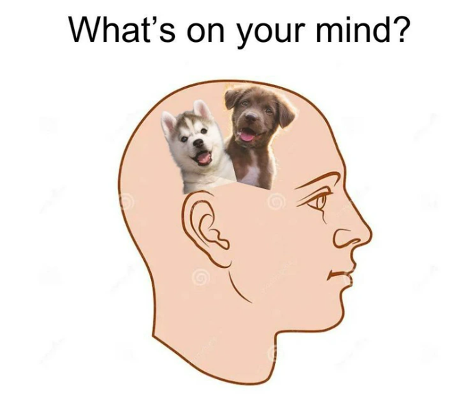 What's on your mind? O