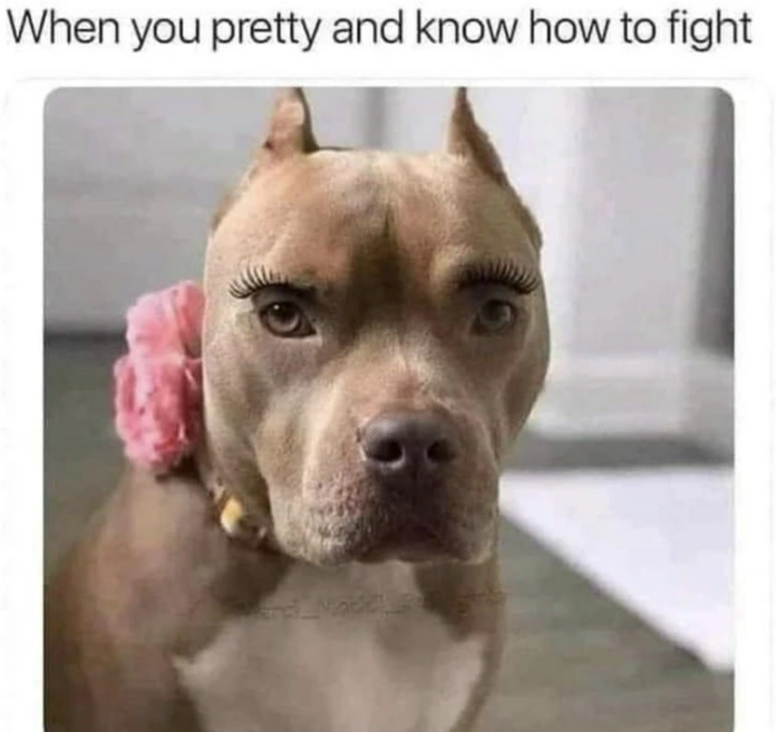 When you pretty and know how to fight