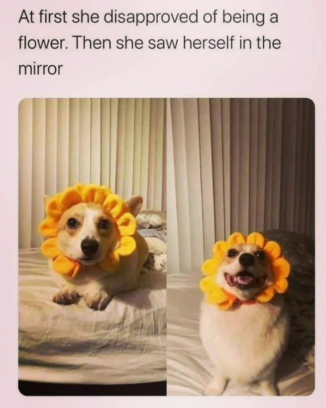 At first she disapproved of being a flower. Then she saw herself in the mirror