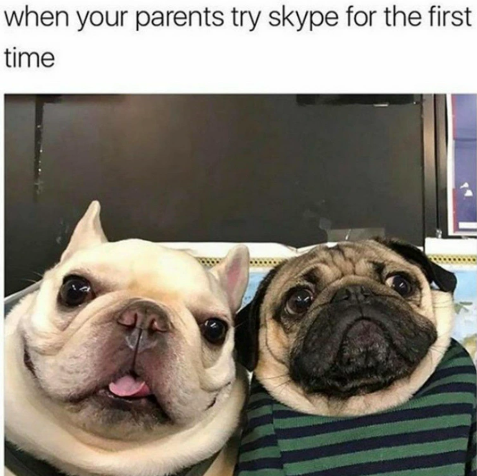 when your parents try skype for the first time