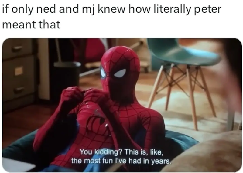 if only ned and mj knew how literally peter meant that You kidding? This is, like, the most fun I've had in years.