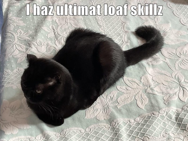 I haz ultimat loaf skillz
