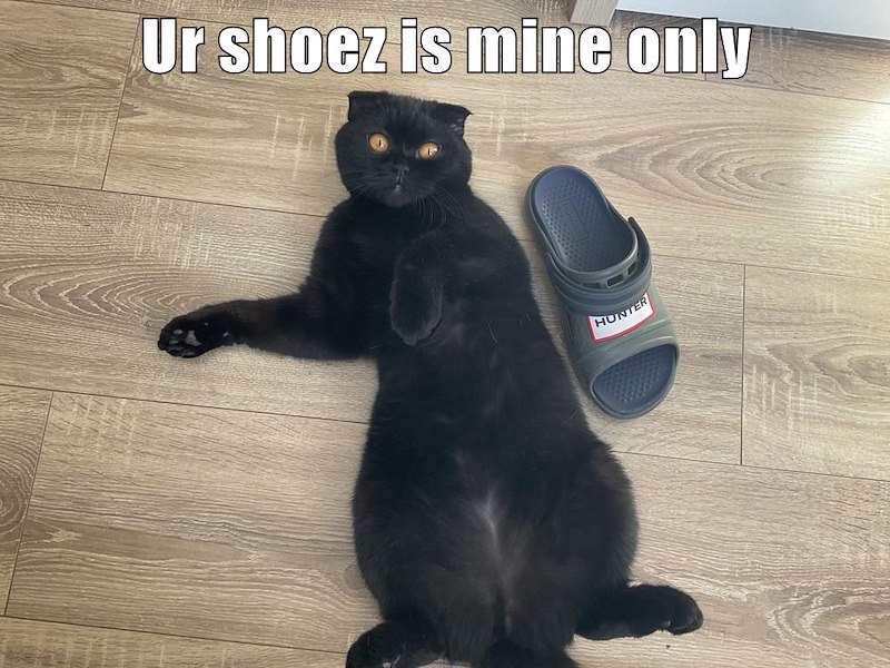 Ur shoez is mine only HUNTER