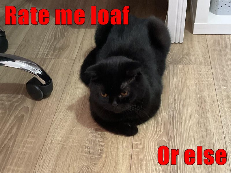 Rate me loaf Or else