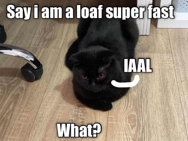 Say i am a loaf super fast IAAL What?