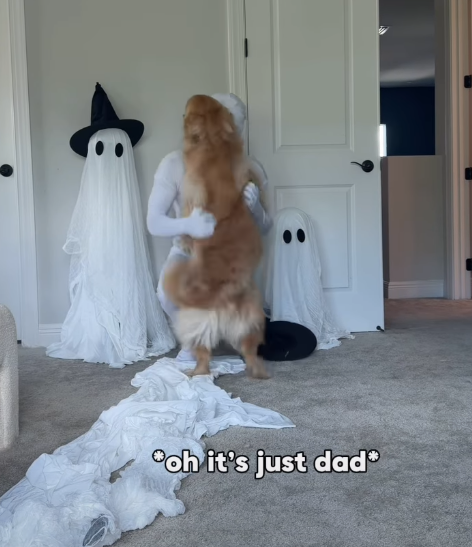 Poh it's just dadⓇ