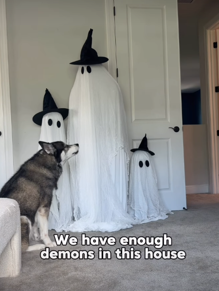We have enough demons in this house