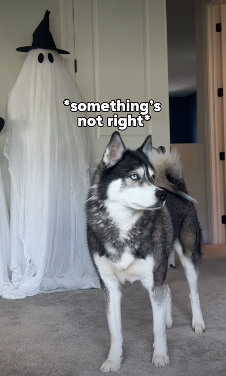 "something's not right