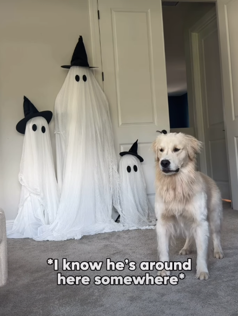 I know he's around here somewhere