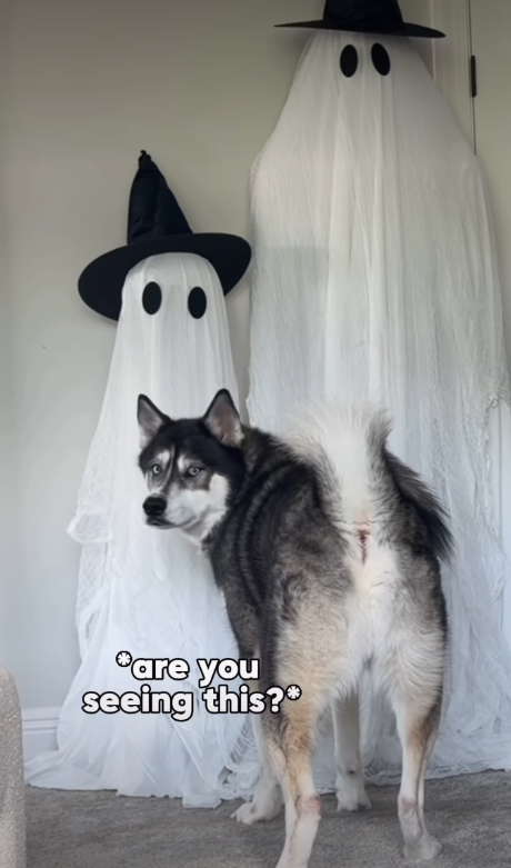 are you seeing this?