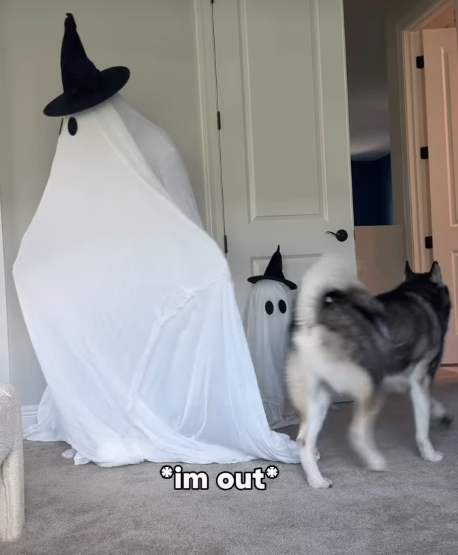 *im out*