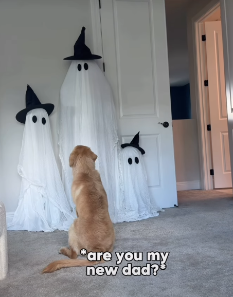 are you my new dad?