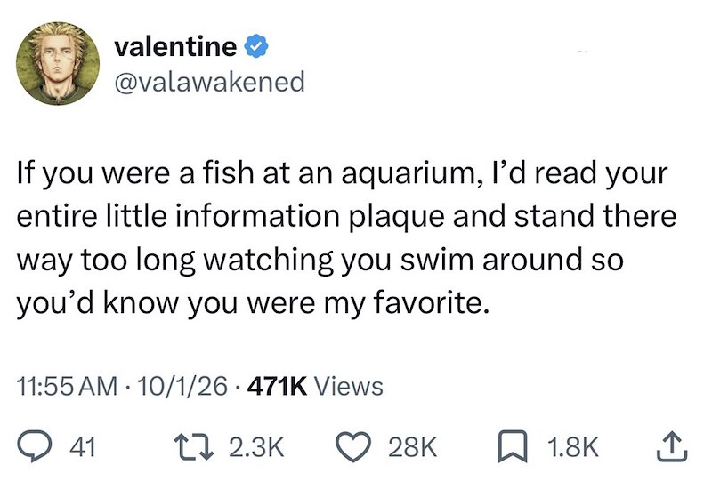 valentine @valawakened If you were a fish at an aquarium, I'd read your entire little information plaque and stand there way too long watching you swim around so you'd know you were my favorite. 11:55 AM · 10/1/26.471K Views 41 12.3K 28K ☐ 1.8K ↑