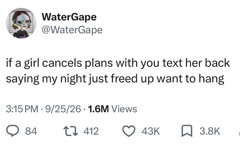 WaterGape @WaterGape if a girl cancels plans with you text her back saying my night just freed up want to hang 3:15 PM 9/25/26 1.6M Views 84 412 43K 3.8K
