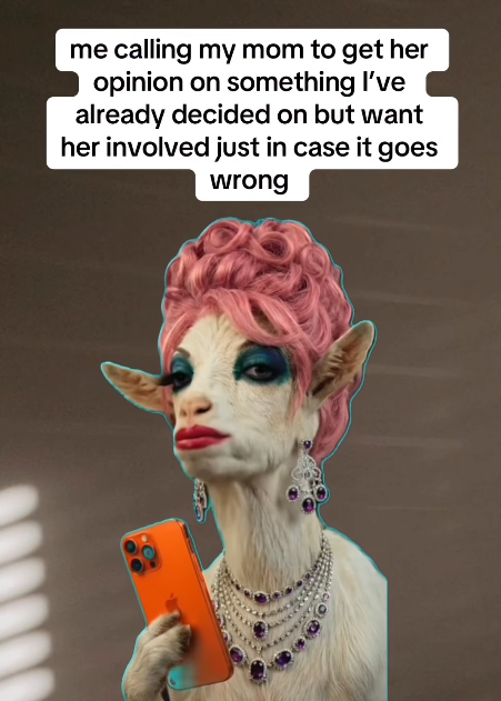 me calling my mom to get her opinion on something I've already decided on but want her involved just in case it goes wrong