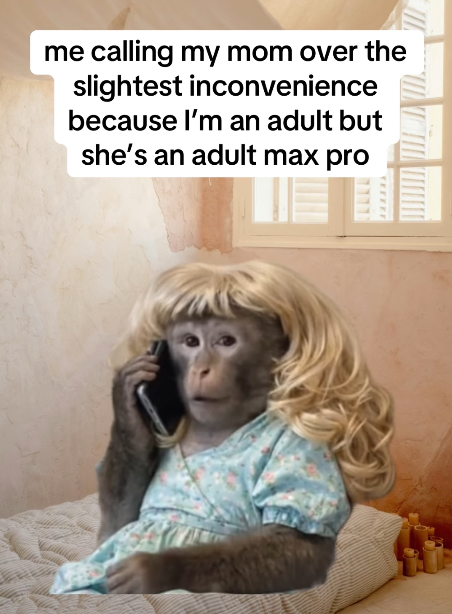 me calling my mom over the slightest inconvenience because I'm an adult but she's an adult max pro