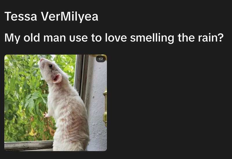 Tessa VerMilyea My old man use to love smelling the rain? 1/2