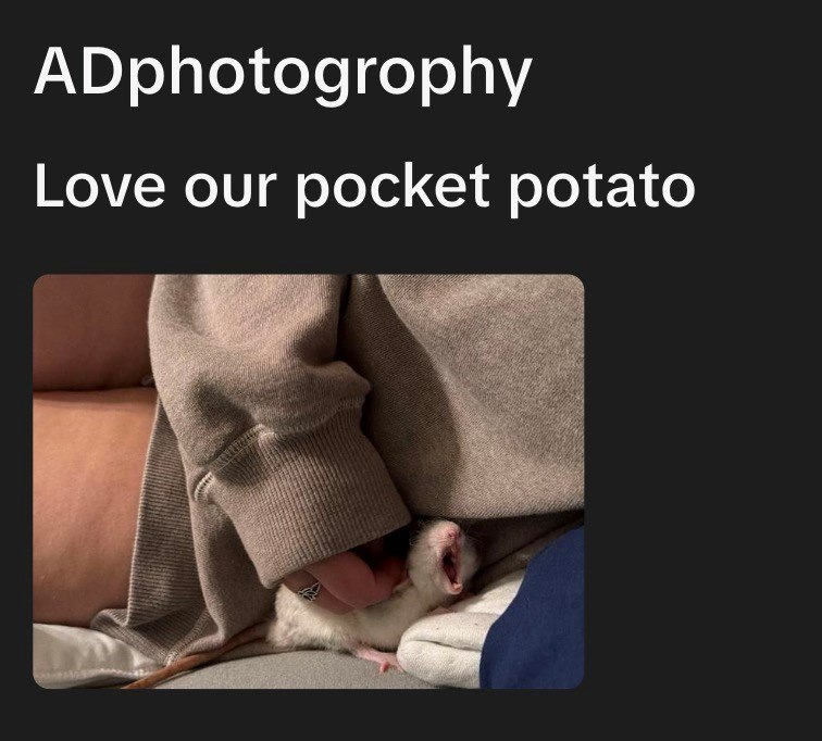 ADphotogrophy Love our pocket potato