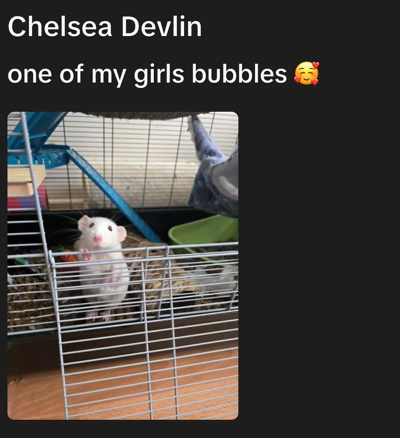 Chelsea Devlin one of my girls bubbles