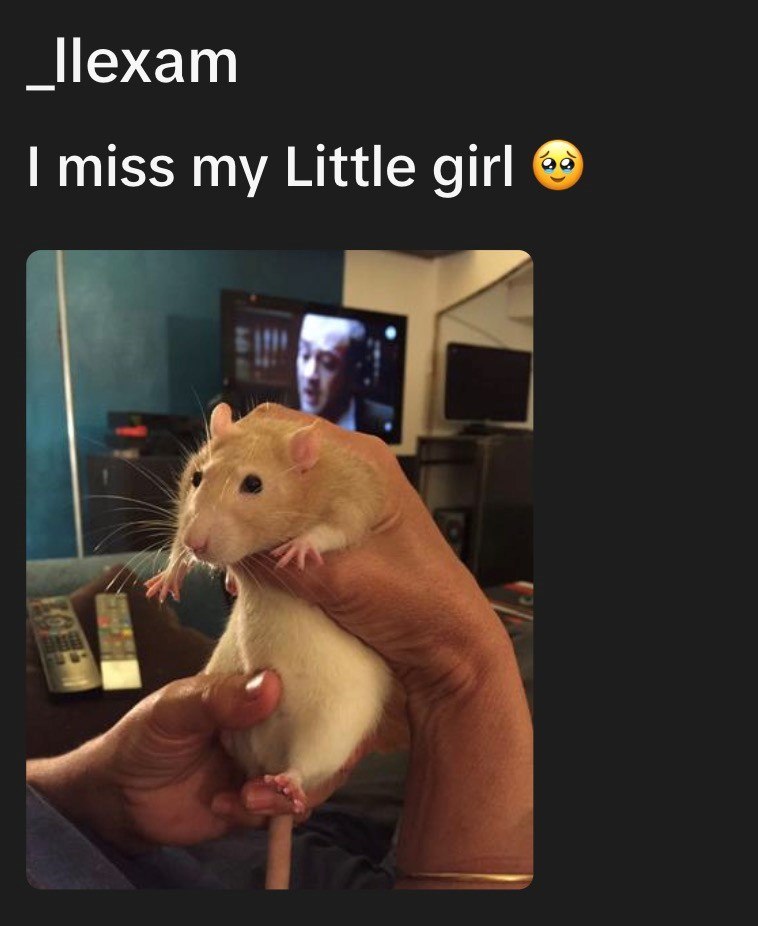 _llexam I miss my Little girl