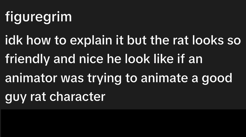 figuregrim idk how to explain it but the rat looks so friendly and nice he look like if an animator was trying to animate a good guy rat character