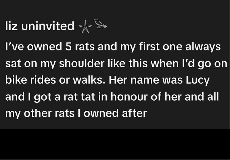 liz uninvited I've owned 5 rats and my first one always sat on my shoulder like this when I'd go on bike rides or walks. Her name was Lucy and I got a rat tat in honour of her and all my other rats I owned after