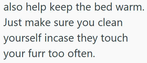 also help keep the bed warm. Just make sure you clean yourself incase they touch your furr too often.