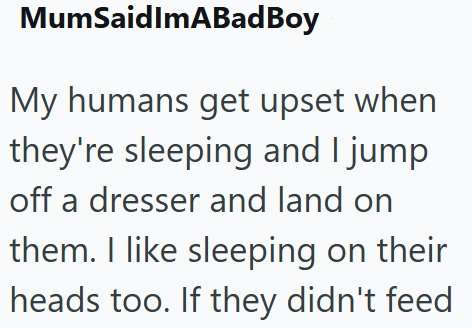 MumSaidImABadBoy My humans get upset when they're sleeping and I jump off a dresser and land on them. I like sleeping on their heads too. If they didn't feed