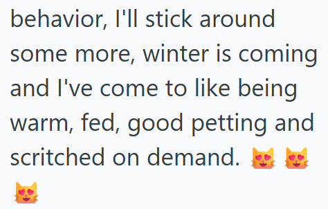 behavior, I'll stick around some more, winter is coming and I've come to like being warm, fed, good petting and scritched on demand.