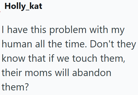 Holly_kat I have this problem with my human all the time. Don't they know that if we touch them, their moms will abandon them?
