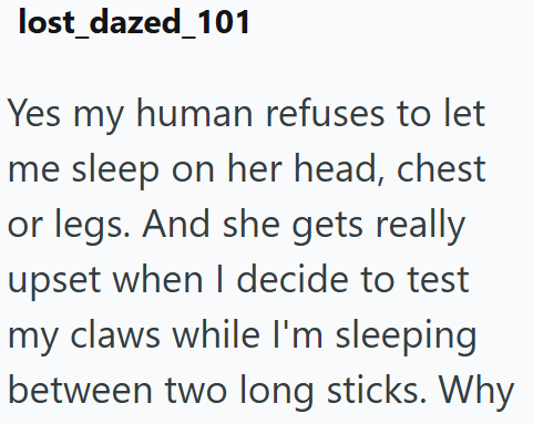 lost_dazed_101 Yes my human refuses to let me sleep on her head, chest or legs. And she gets really upset when I decide to test my claws while I'm sleeping between two long sticks. Why