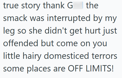 true story thank G the smack was interrupted by my leg so she didn't get hurt just offended but come on you little hairy domesticed terrors some places are OFF LIMITS!
