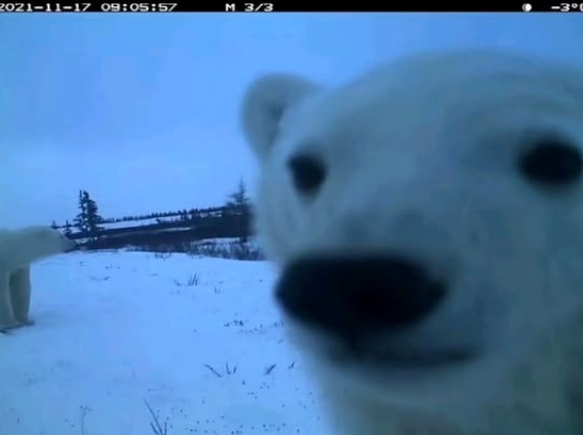 2021-11-17 09:05:57 M 3/3 3°0