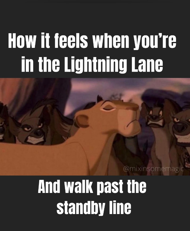 How it feels when you're in the Lightning Lane @mixinsomemagic And walk past the standby line