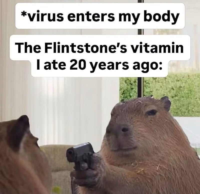 *virus enters my body The Flintstone's vitamin I ate 20 years ago: