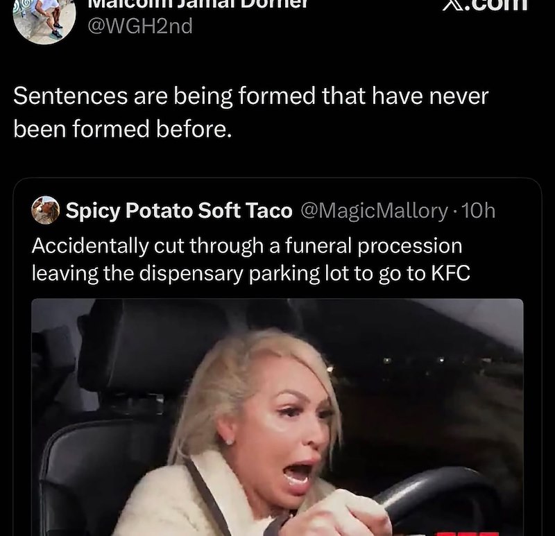 @WGH2nd Sentences are being formed that have never been formed before. Spicy Potato Soft Taco @MagicMallory. 10h Accidentally cut through a funeral procession leaving the dispensary parking lot to go to KFC