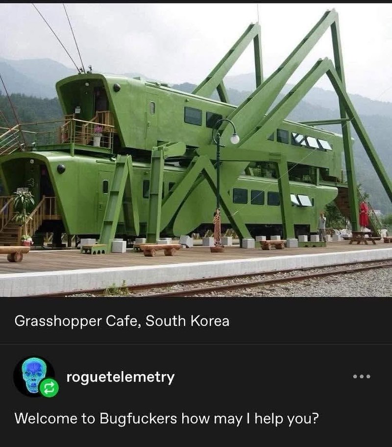 Grasshopper Cafe, South Korea roguetelemetry Welcome to Bugfuckers how may I help you?