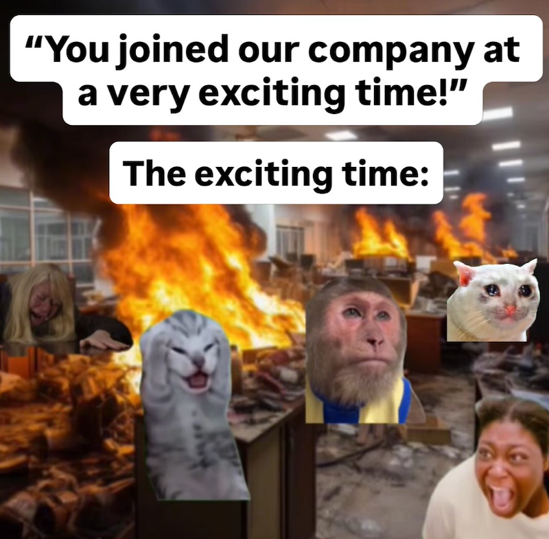 "You joined our company at a very exciting time!" The exciting time: