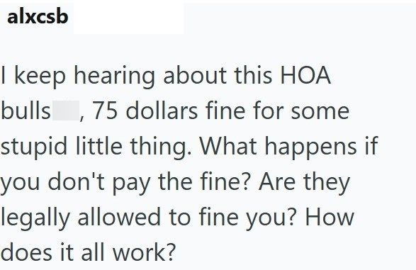 alxcsb I keep hearing about this HOA bulls 75 dollars fine for some stupid little thing. What happens if you don't pay the fine? Are they legally allowed to fine you? How does it all work?