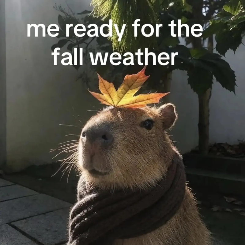me ready for the fall weather