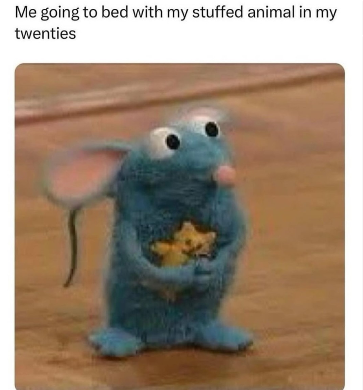 Me going to bed with my stuffed animal in my twenties