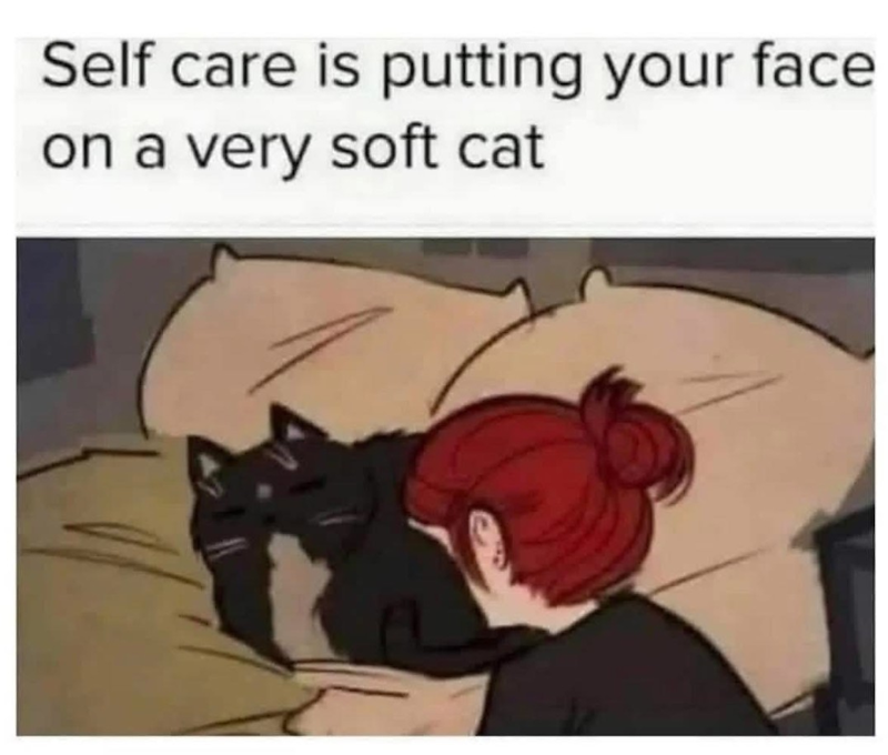 Self care is putting your face on a very soft cat