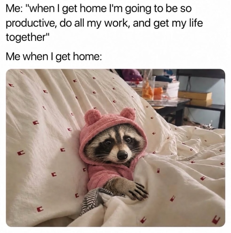 Me: "when I get home I'm going to be so productive, do all my work, and get my life together" Me when I get home: C C C ㄷ C