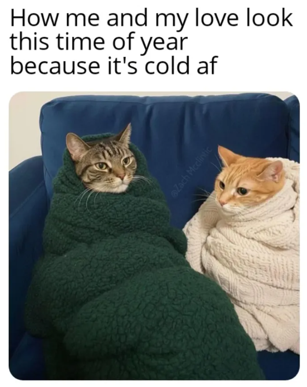 How me and my love look this time of year because it's cold af Zach Mcclintic